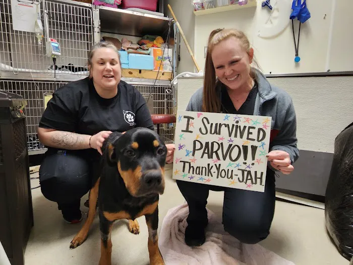 Jefferson Animal Hospital & Regional Emergency Center Picture 10
