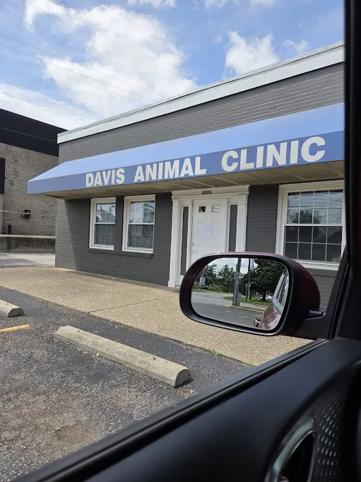 Davis Animal Clinic Picture 2