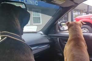 Auto Service Center