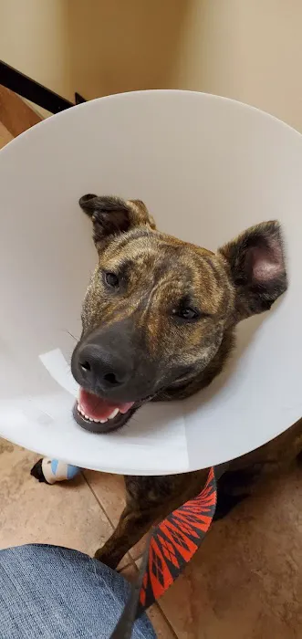 Gailor Animal Hospital: Herre Adam DVM Picture 4