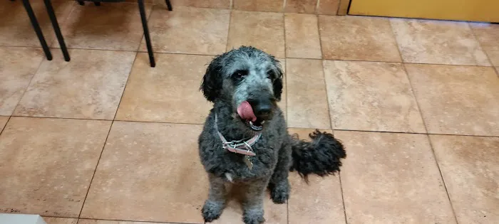 Gailor Animal Hospital: Herre Adam DVM Picture 3