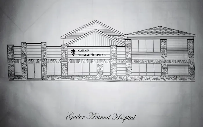 Gailor Animal Hospital Picture 9