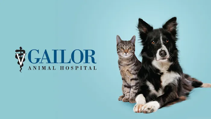 Gailor Animal Hospital Picture 7