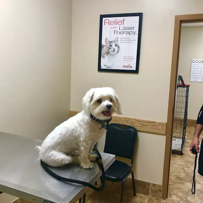 Gailor Animal Hospital Picture 6