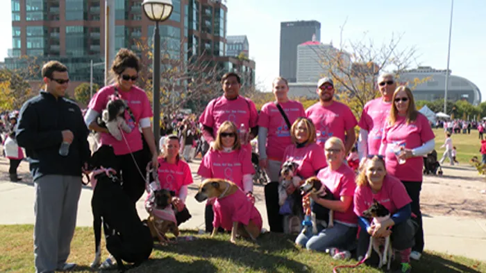 All About Pets Animal Hospital Picture 6