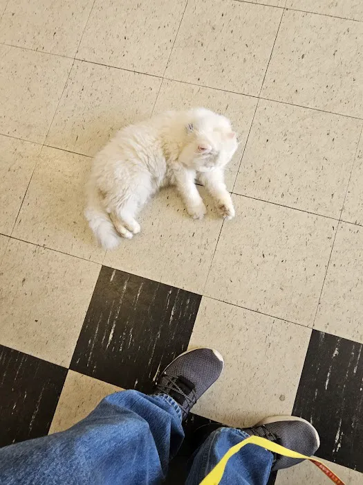 Fairleigh Pet Center Picture 6