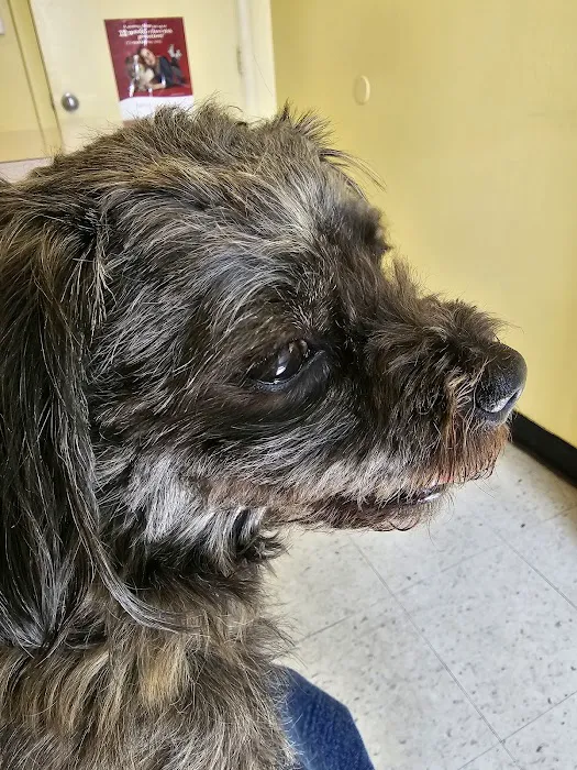 Fairleigh Pet Center Picture 9