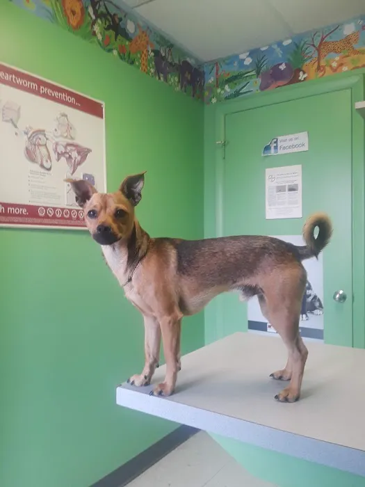 Fairleigh Pet Center Picture 8