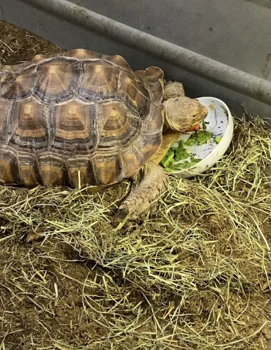 Fairleigh Pet Center Picture 5