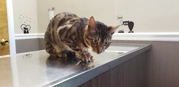 Smith Animal Clinic Picture 1