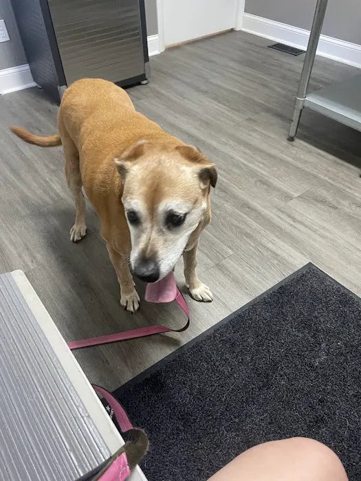 Smith Animal Clinic Picture 7