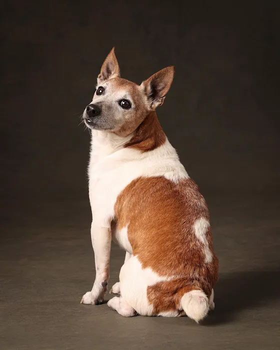 Smith Animal Clinic Picture 10