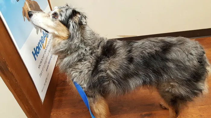 Henry County Animal Clinic Picture 9