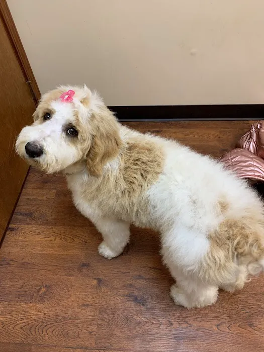 Henry County Animal Clinic Picture 3