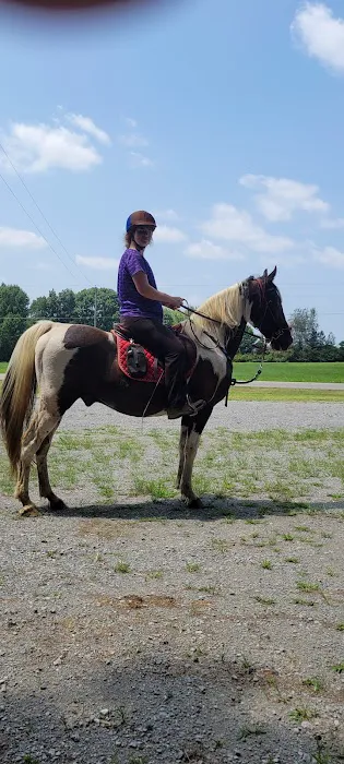 Equine Services, PSC Picture 7