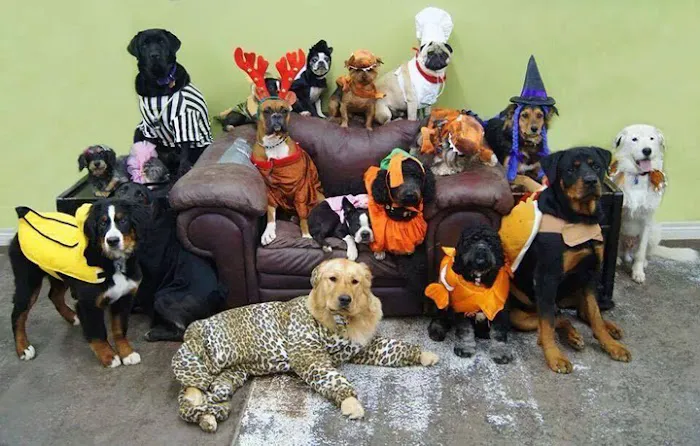 Hillview Animal Hospital & Clinic Picture 2