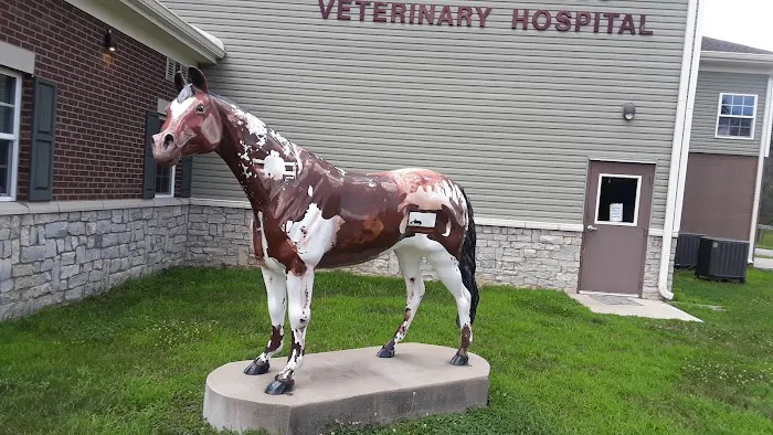 Bannon Woods Veterinary Hospital Picture 5