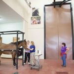 Bannon Woods Veterinary Hospital