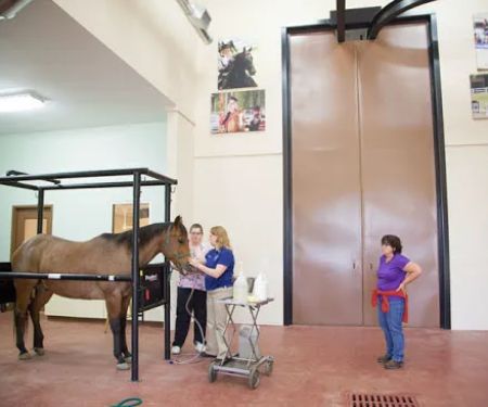 Bannon Woods Veterinary Hospital