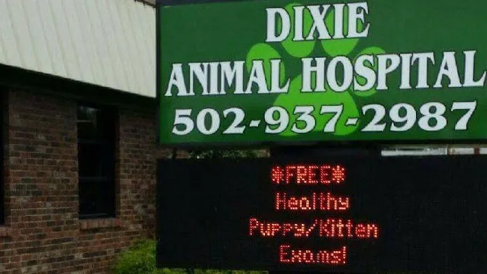 Dixie Animal Hospital Picture 5