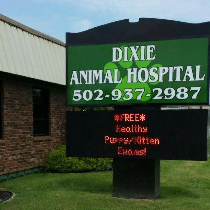 Dixie Animal Hospital Picture 4