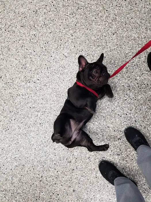 Dixie Animal Hospital Picture 2