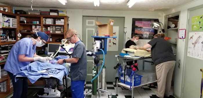 Corydon Animal Hospital Picture 1