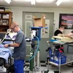 Corydon Animal Hospital