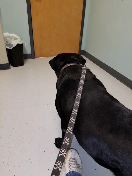 Shelby Veterinary Clinic PLLC Picture 6
