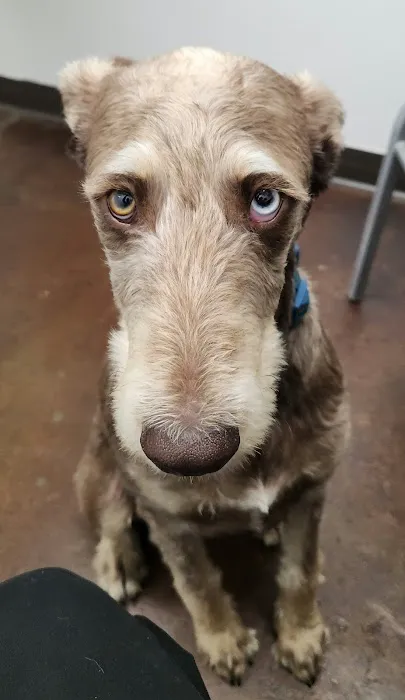 Magnolia Animal Clinic Picture 9