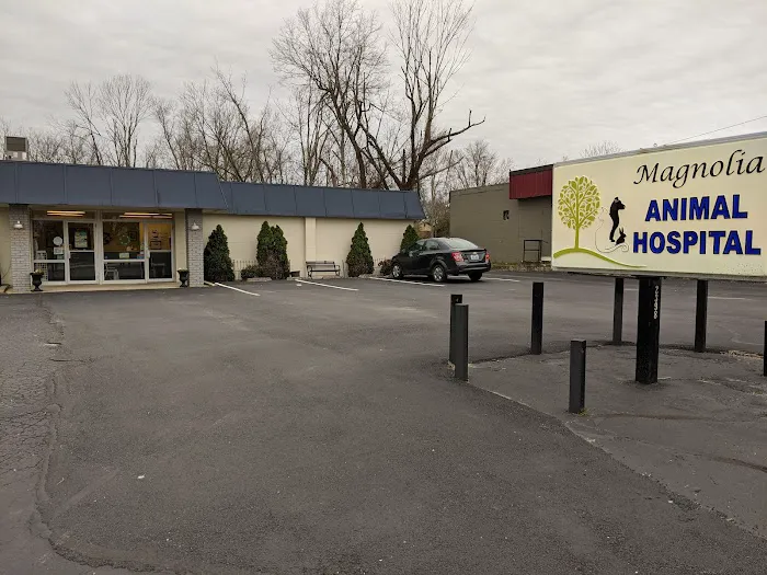 Magnolia Animal Clinic Picture 5
