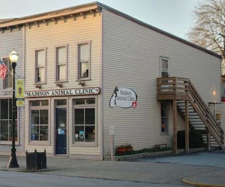 Madison Animal Clinic