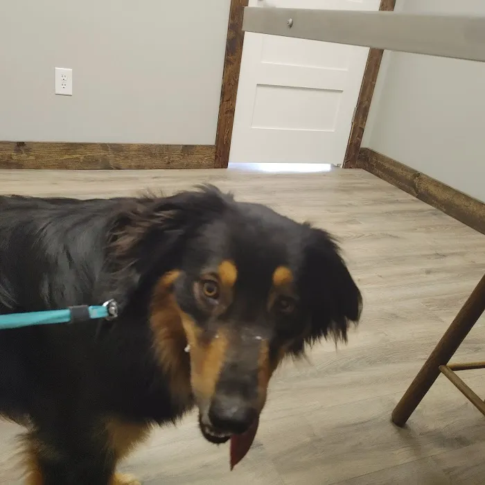 Madison Animal Clinic Picture 10