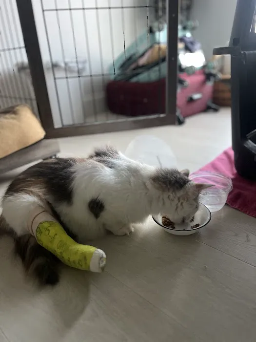 Madison Animal Clinic Picture 8