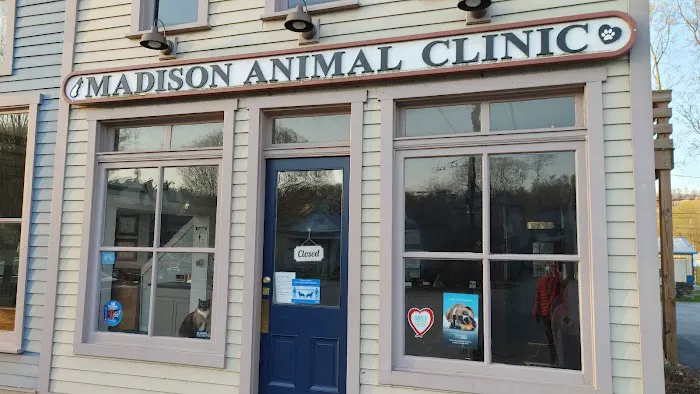 Madison Animal Clinic Picture 9