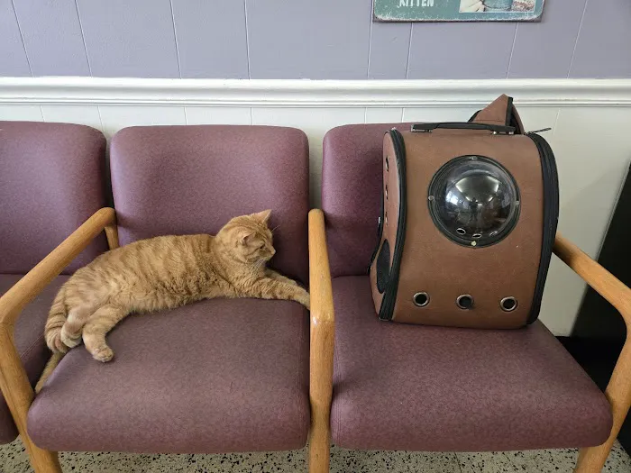 Pets Doc Veterinary Clinic Picture 6
