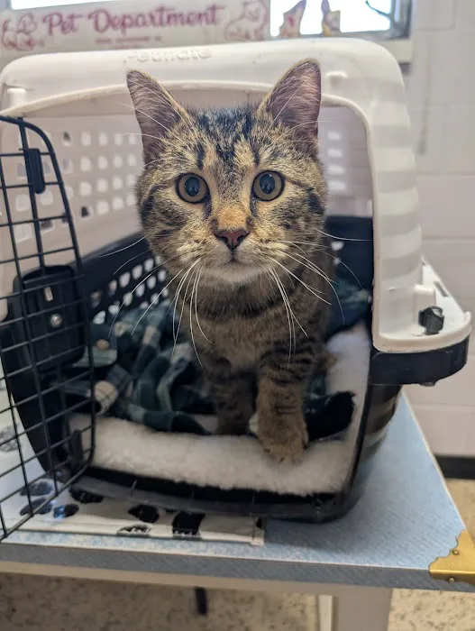 Pets Doc Veterinary Clinic Picture 8