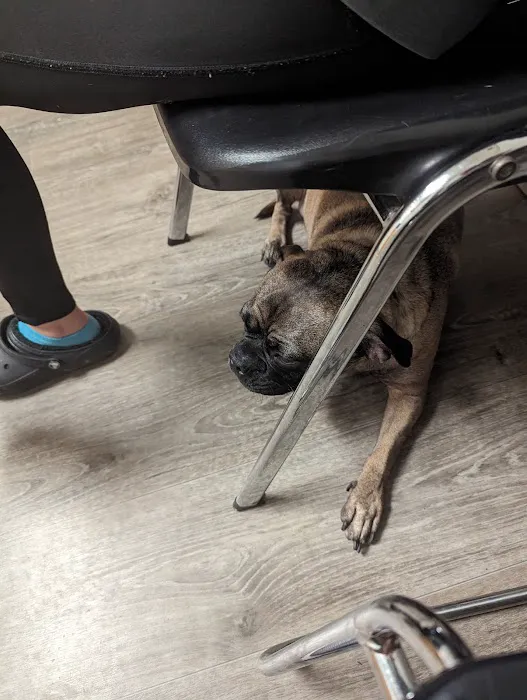 Carroll County Animal Clinic Picture 1