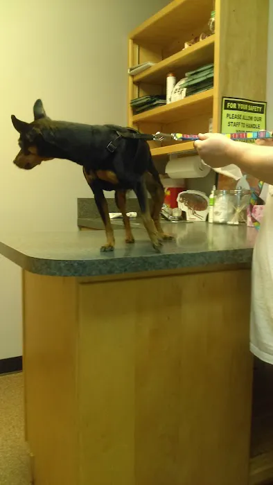 Carroll County Animal Clinic Picture 2