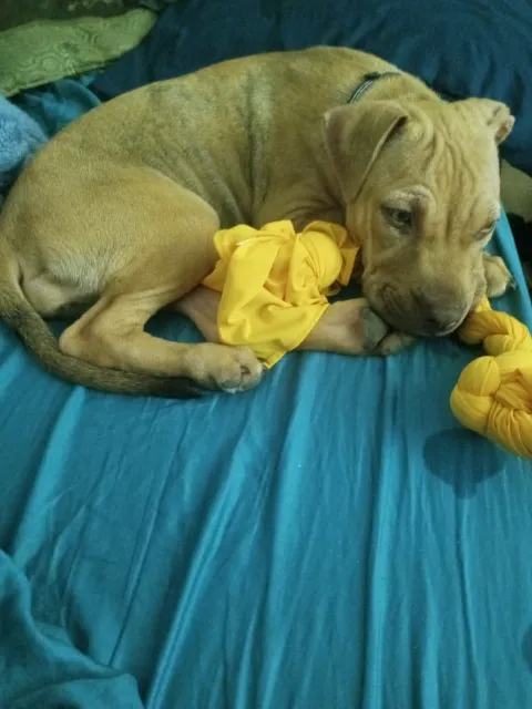 Carroll County Animal Clinic Picture 7