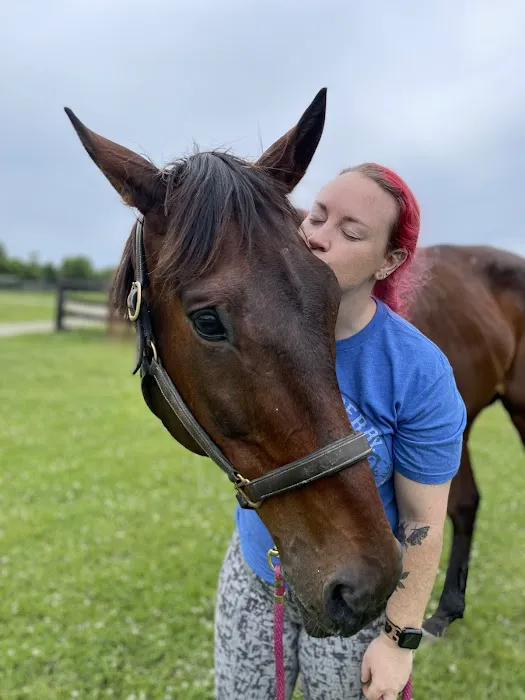 Kentucky Equine Hospital Picture 1