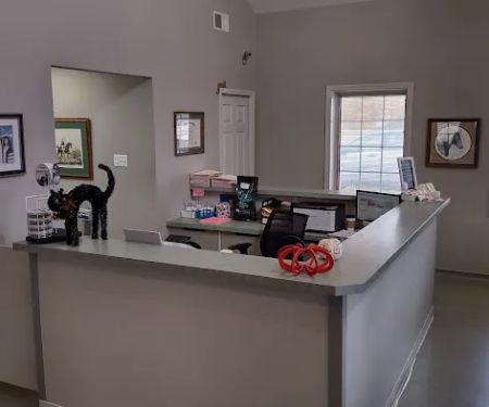 Johnson Veterinary Clinic