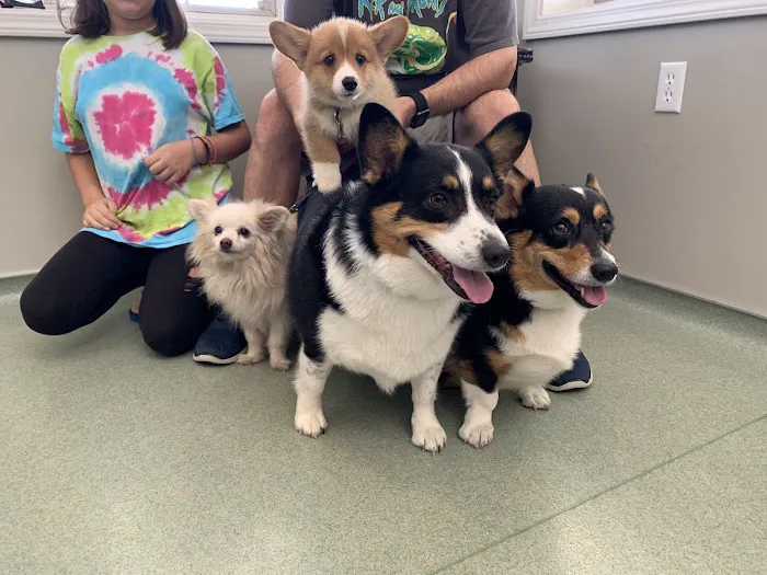 Johnson Veterinary Clinic Picture 3