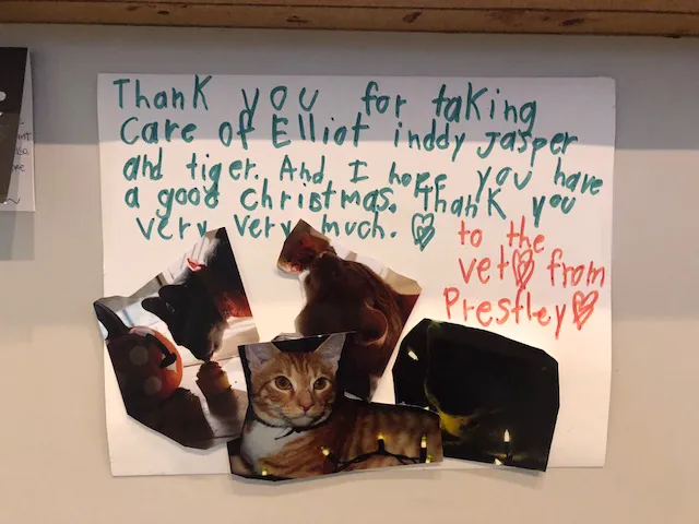 Johnson Veterinary Clinic Picture 7