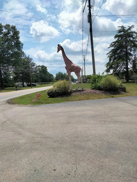 Bullitt County Veterinary Center Picture 10