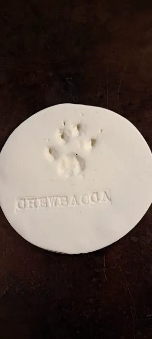 Bluegrass Animal Care Center Picture 2