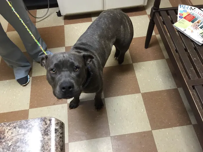Elk Creek Animal Hospital Picture 5