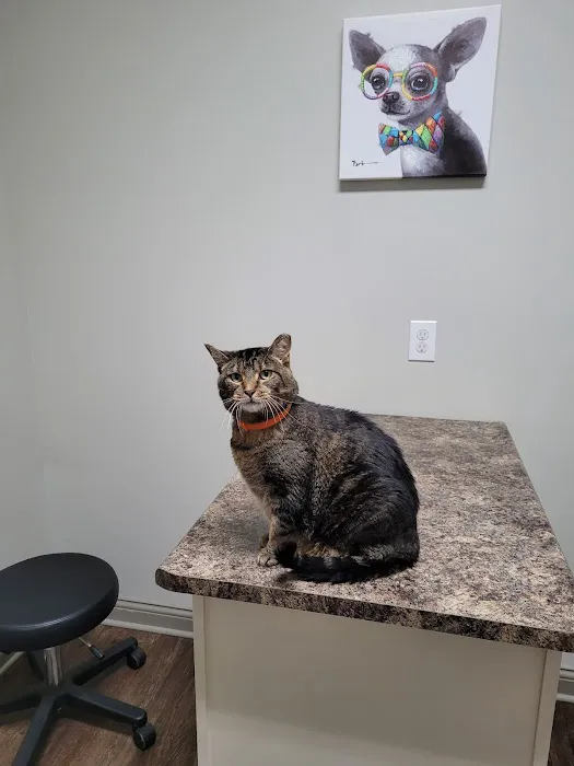 Elk Creek Animal Hospital Picture 6
