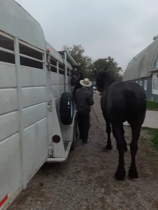 Southern Indiana Equine Picture 6