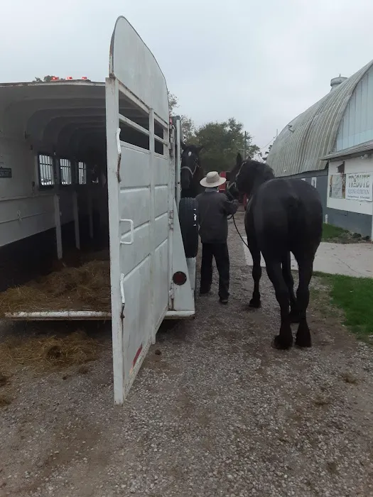 Southern Indiana Equine Picture 2